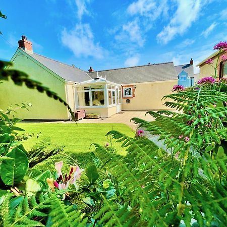 Cosy Cottage - Whitchurch, Solva Zewnętrze zdjęcie