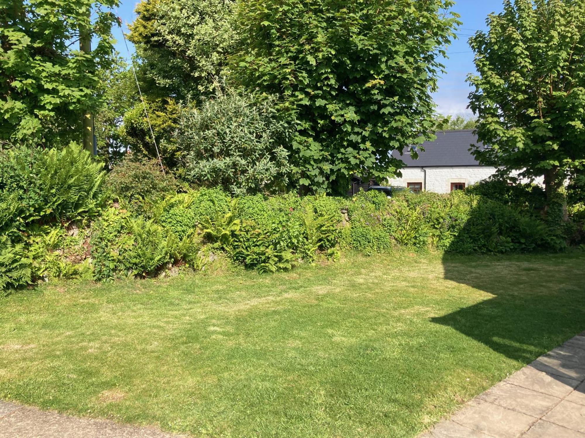 Cosy Cottage - Whitchurch, Solva Zewnętrze zdjęcie
